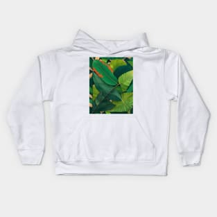 Tropical Leaves Kids Hoodie